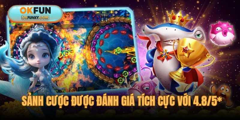 Sảnh cược với đánh giá tích cực 4.8/5*